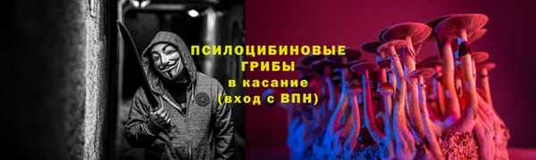 ПСИЛОЦИБИНОВЫЕ ГРИБЫ Верея