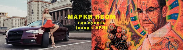 ПСИЛОЦИБИНОВЫЕ ГРИБЫ Верея